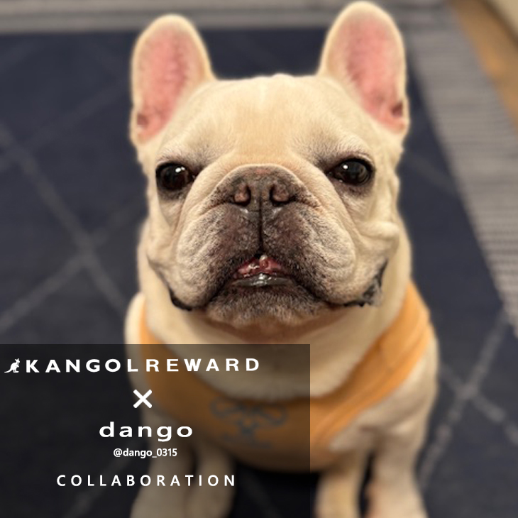 dango コラボアイテム