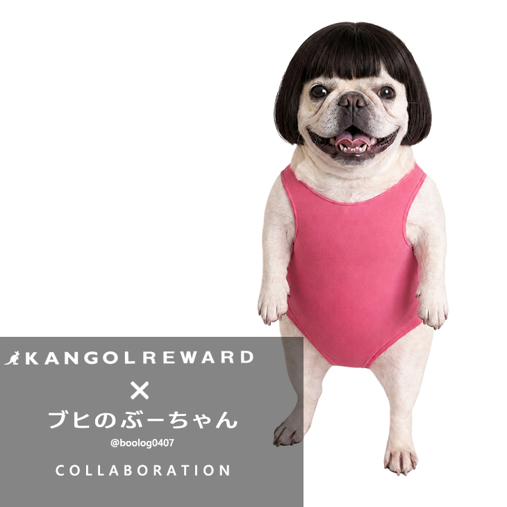 ブヒのぶーちゃん コラボアイテム