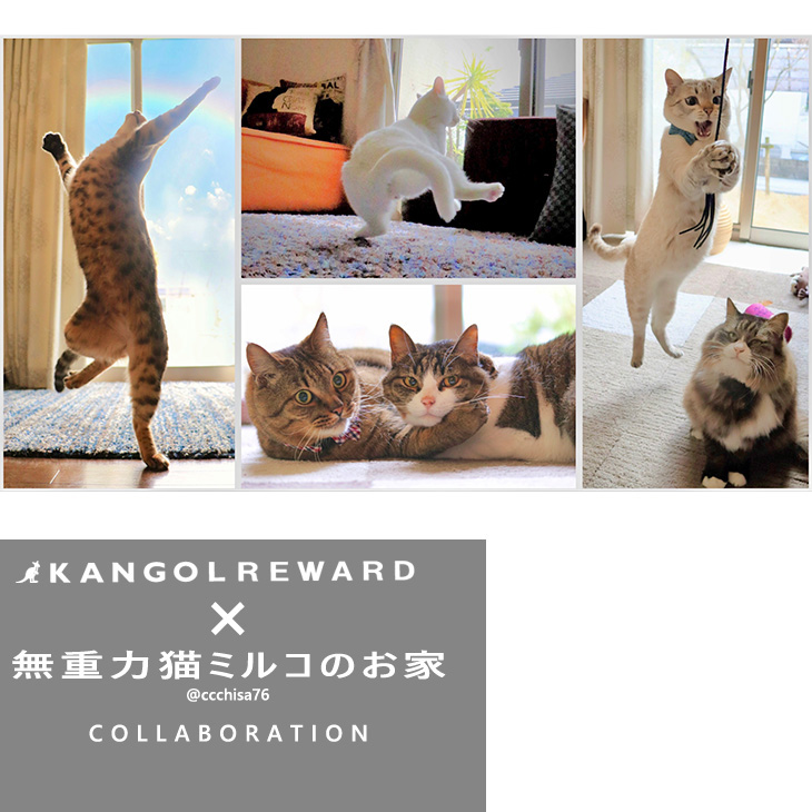 無重力猫ミルコのお家コラボアイテム"